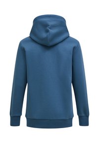 Felpa blu con cappuccio. Presenta una texture liscia, polsini e orlo a costine, con un design semplice e senza decorazioni. Vista posteriore mostrata.