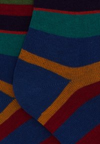 Gallo WITH MULTICOLOURED STRIPES. - Calze - abisso prato