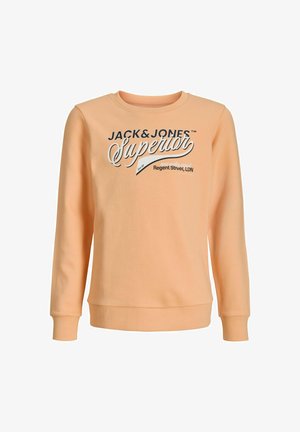 JJELOGO CREW NECK 2 COL SS26 - Športni pulover - beach sand