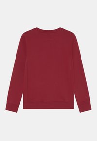 Lee Bluza