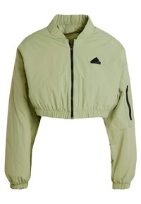 CE BOMBER - Giacca invernale - green