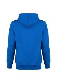 Puma TEAMGOAL 23 CASUALS HOODIE HERREN - Felpa con cappuccio - light blue