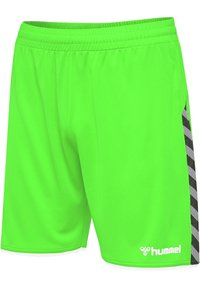 Hummel AUTHENTIC KIDS POLY SHORTS - Träningsshorts - green gecko
