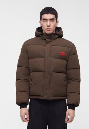HUGO, BARO - Veste d'hiver - brown overflow