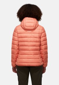 Mammut WAYMARKER IN HOODED - Dunjacka - quartz dust