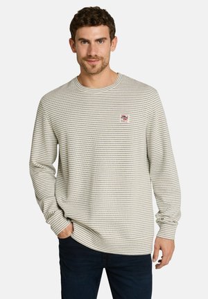 Mann trägt einen langärmlichen, hellgrauen Pullover mit dünnen horizontalen Streifen und dunkle Hose, vor weißem Hintergrund stehend.