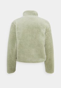 ONLY Petite Sweatshirt - light green