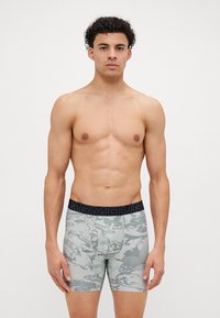Boxerii dintr-un material elastic, cu un tiv negru pe care este inscripționat logo-ul "ARMOUR". Modelul are un design de camuflaj gri deschis.