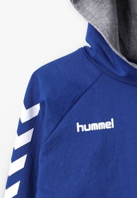 Felpa con cappuccio blu con letto grigio, con strisce diagonali bianche sulle maniche e un logo bianco sul petto. Tessuto morbido.