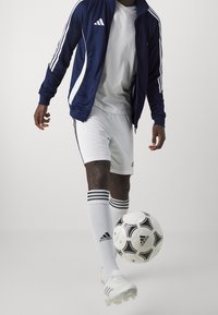 Marinblå zip-up jacka med vita ränder, grå T-shirt, vita shorts och strumpor med svarta ränder. Spelaren sparkar en svart och vit fotboll.