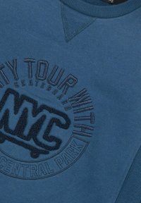 Blue sweatshirt featuring embroidered text "NYC" and "CITY TOUR WITH CENTRAL PARK," textured design, and ribbed neck and cuffs.