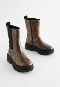 Braune Ankle Boots mit Schuppenmuster, einem massiven schwarzen Absatz, elastischen seitlichen Einsätzen und einem seitlichen Reißverschluss für einfaches An- und Ausziehen.