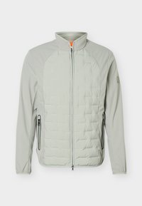 Sélectionné, forest fog