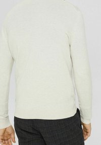 Hellgrauer Pullover mit langen Ärmeln, gerippten Bündchen und einem figurschmeichelnden Saum. Aus weichem, glattem Material mit einfacher Textur. Rückansicht dargestellt.