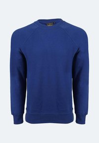Felpa blu a girocollo con maniche raglan, realizzata in morbido cotone. Vestibilità classica con polsini e orlo a coste, branding minimale visibile.