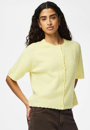 Kvinne med langt krøllete hår iført en lysegul knappet kortermet genser og mørkebrune bukser, poserer foran en hvit bakgrunn.