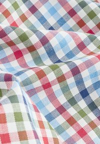 Bomuldsternet stof med blå, rød, grøn og hvide ternmønstre. Teksturen ser vævet ud med en medium vægt.