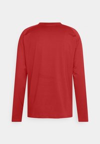Langärmliges Shirt in einheitlichem Rot, aus glattem Stoff gefertigt. Verfügt über einen runden Halsausschnitt und einen schlichten Rücken, ohne sichtbare Muster oder Verzierungen.
