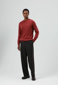 Trui met lange mouwen in kastanjebruin gebreid, gecombineerd met donker gestreepte broek. Model staat zelfverzekerd en draagt donkere schoenen. Gladde stoftextuur.