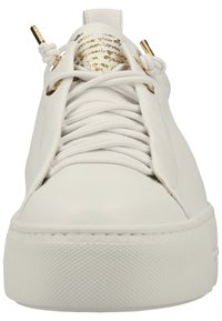 Baskets blanches avec une tige en cuir lisse, bout arrondi, semelle en caoutchouc texturé et œillets dorés. Les lacets sont soigneusement noués.