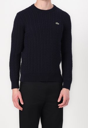 Mann trägt einen navyblauen, kabelgestrickten Pullover mit langen Ärmeln und kleinem grünem Krokodil-Logo auf der Brust, kombiniert mit schwarzen Hosen.