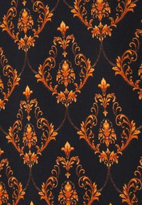 Carlo Colucci Jersey con capucha - black