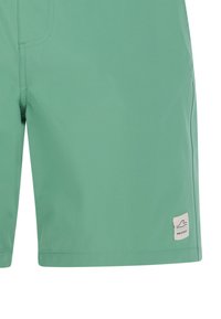 Groene zwemshorts van lichtgewicht, gladde stof. Heeft een klein wit logo-opdruk en minimale stikdetails.