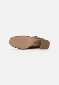 Steve Madden Botines bajos - dark cappuccino