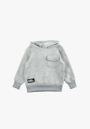 Sweat à capuche gris en coton avec une poche avant, des poignets et un ourlet côtelés. Comprend un patch logo et une capuche avec cordon de serrage. Texture douce et lisse.