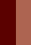 Couleur (4)