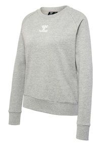 Gray sweatshirt with a round neckline, long raglan sleeves, and a ribbed hem. Features a white logo on the chest. Soft fabric texture.