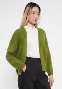 Grüne, gestrickte Strickjacke mit lockerer Passform, Rippbündchen und offenem Vorderteil. Getragen über einem rosa Kragenhemd und schwarzen Hosen.