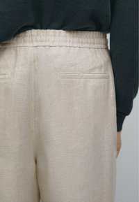 Massimo Dutti Chinos - beige