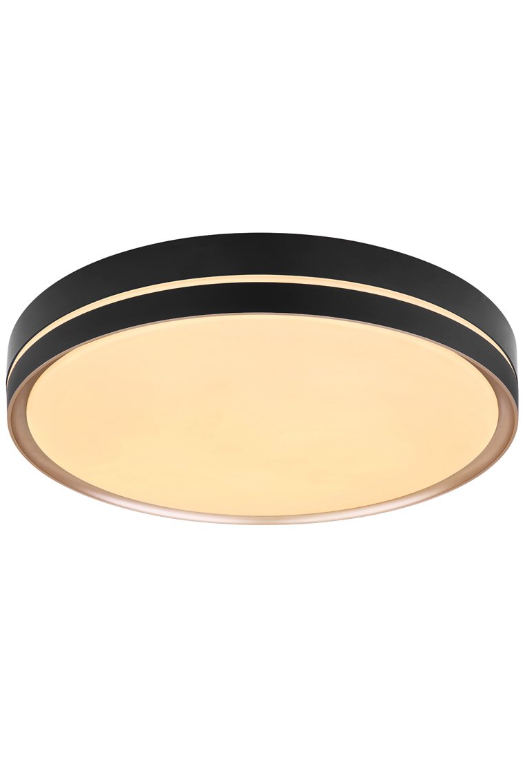 Runde Deckenleuchte mit einem schwarzen Metallrahmen, ausgestattet mit zwei dünnen metallischen Akzenten und einem großen satinierten Glasdiffusor für eine sanfte Beleuchtung.