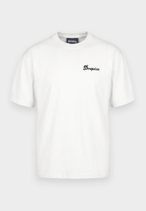 Dropsize, HEAVY DREAM AND GRIND - T-shirts print - light grey