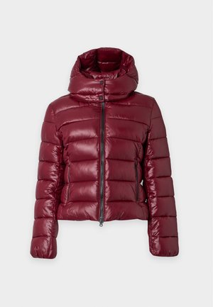 Save the duck, COSMARY - Veste d'hiver - wine red