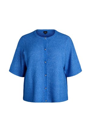 Modra kratka jopica s kratkimi rokavi, okrogel izrez, gumbi spredaj, teksturirana tkanina in sproščen kroj. Spredaj ima pet srebrnih gumbov.