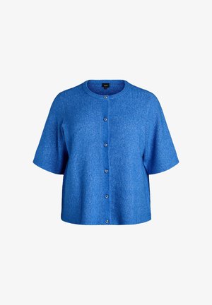 Mėlynas trumpomis rankovėmis megztinis su apvalia iškirpte, sagomis priekyje, tekstūruota audinys ir laisvas kirpimas. Priekyje penkios sidabrinės sagos.