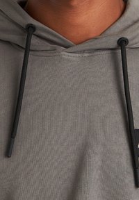 CHASIN' Jersey con capucha - grey