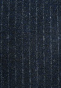 Villādas audums tumši zilos toņos ar smalkām gaišāk zilo un pelēko vertikālām svītrām. Tekstūra šķiet maiga un nedaudz pūkaina.