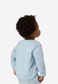 Light blue sweatshirt made of soft material, featuring a ribbed hem and cuffs. Displaying a small, white logo on the upper back.