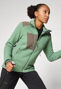 Norrøna TROLLVEGGEN JACKET  - Fleecejakke - dark ivy