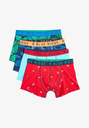 4 PACK - Panties - multi coloured