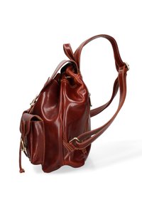 Borsa in pelle marrone con un design morbido, tracolla regolabile, tasca laterale e dettagli di cucitura a vista. Texture liscia e leggero splendore.