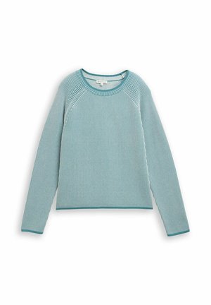 Light blue long-sleeve sweater with thin white stripes. Features a round neckline and ribbed cuffs. Soft knit texture with a relaxed fit.