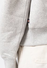 Felpa grigia chiara in tessuto morbido con polsini e orlo a coste. Presenta un piccolo etichetta del marchio sul lato. Design semplice e casual.