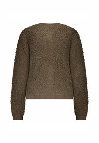 Bruine gebreide lange mouwtrui met een ronde hals en ribbels aan de mouwen en onderrand, gezien vanaf de achterkant.