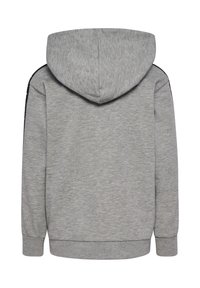 Grå hættetrøje med en glat tekstur, der har hætte, lange ærmer og sorte sideakcenter. Simpelt design, uden synlige grafikker eller mønstre.