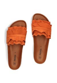 VERBENAS ROCIO - Muiltjes - oranje