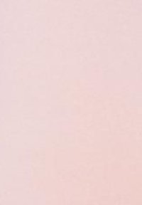 Weicher rosa Hintergrund mit einer glatten, matten Textur, einheitlicher Farbe und ohne sichtbare Muster oder Akzente. Einfaches, minimalistisches Design.